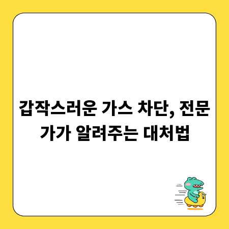갑작스러운 가스 차단, 전문가가 알려주는 대처법