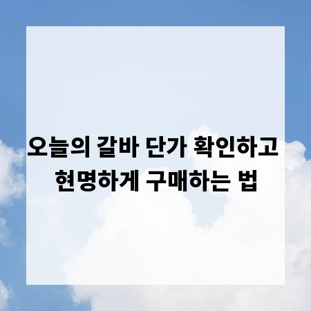 오늘의 갈바 단가 확인하고 현명하게 구매하는 법