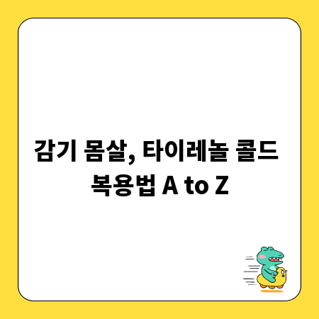 감기 몸살, 타이레놀 콜드 복용법 A to Z