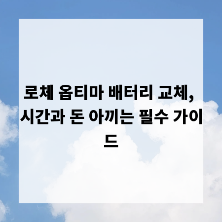 로체 옵티마 배터리 교체, 시간과 돈 아끼는 필수 가이드