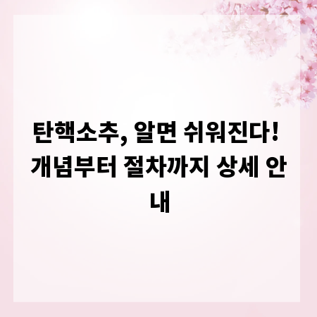 탄핵소추, 알면 쉬워진다! 개념부터 절차까지 상세 안내
