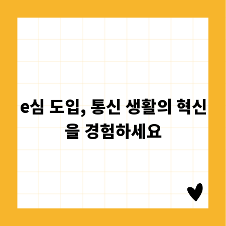 e심 도입, 통신 생활의 혁신을 경험하세요