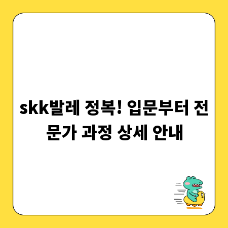 skk발레 정복! 입문부터 전문가 과정 상세 안내