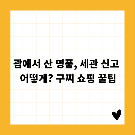 괌에서 산 명품, 세관 신고 어떻게? 구찌 쇼핑 꿀팁