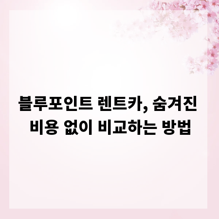 블루포인트 렌트카, 숨겨진 비용 없이 비교하는 방법