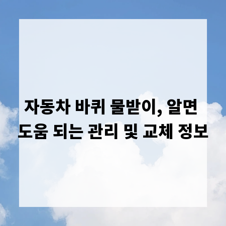 자동차 바퀴 물받이, 알면 도움 되는 관리 및 교체 정보