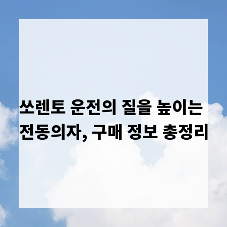 쏘렌토 운전의 질을 높이는 전동의자, 구매 정보 총정리