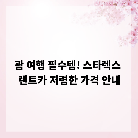 괌 여행 필수템! 스타렉스 렌트카 저렴한 가격 안내