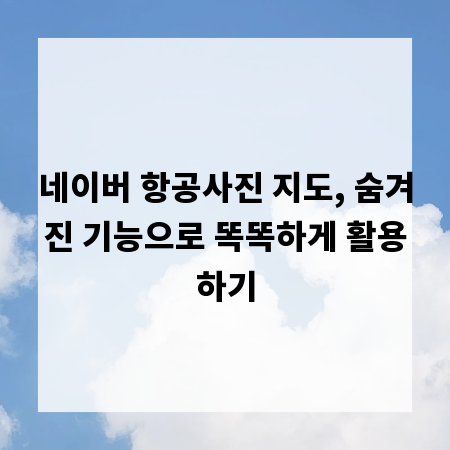 네이버 항공사진 지도, 숨겨진 기능으로 똑똑하게 활용하기