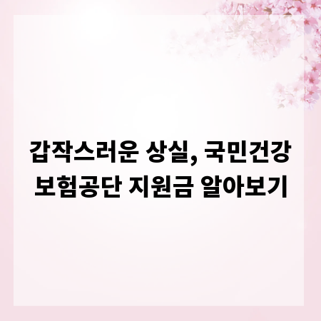 갑작스러운 상실, 국민건강보험공단 지원금 알아보기