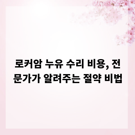 로커암 누유 수리 비용, 전문가가 알려주는 절약 비법