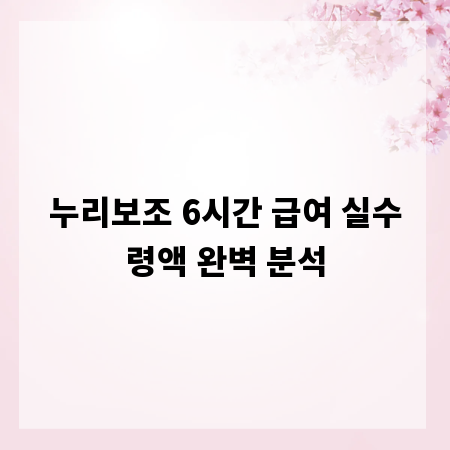 누리보조 6시간 급여 실수령액 완벽 분석