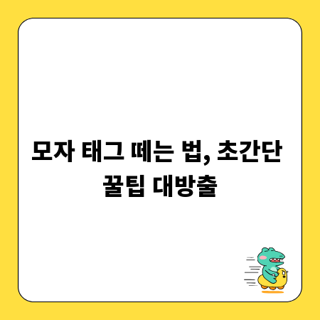 모자 태그 떼는 법, 초간단 꿀팁 대방출