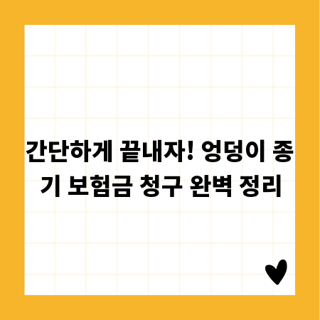 간단하게 끝내자! 엉덩이 종기 보험금 청구 완벽 정리