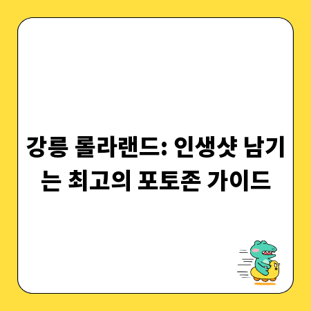 강릉 롤라랜드: 인생샷 남기는 최고의 포토존 가이드