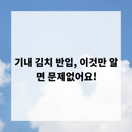기내 김치 반입, 이것만 알면 문제없어요!