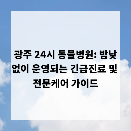 광주 24시 동물병원: 밤낮없이 운영되는 긴급진료 및 전문케어 가이드