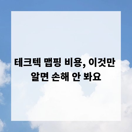 테크텍 맵핑 비용, 이것만 알면 손해 안 봐요