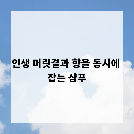 인생 머릿결과 향을 동시에 잡는 샴푸