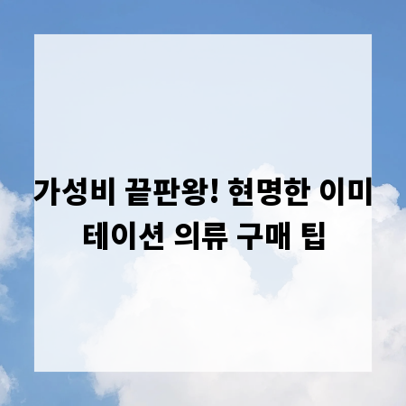 가성비 끝판왕! 현명한 이미테이션 의류 구매 팁