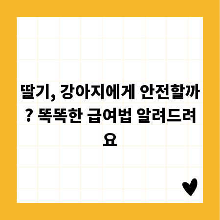 딸기, 강아지에게 안전할까? 똑똑한 급여법 알려드려요