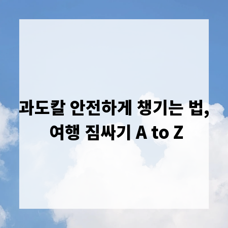 과도칼 안전하게 챙기는 법, 여행 짐싸기 A to Z