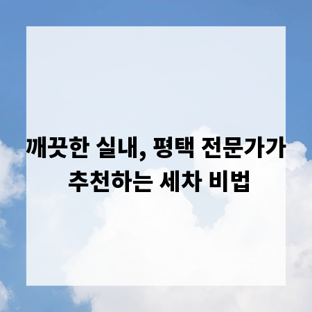 깨끗한 실내, 평택 전문가가 추천하는 세차 비법