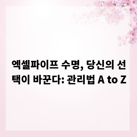 엑셀파이프 수명, 당신의 선택이 바꾼다: 관리법 A to Z