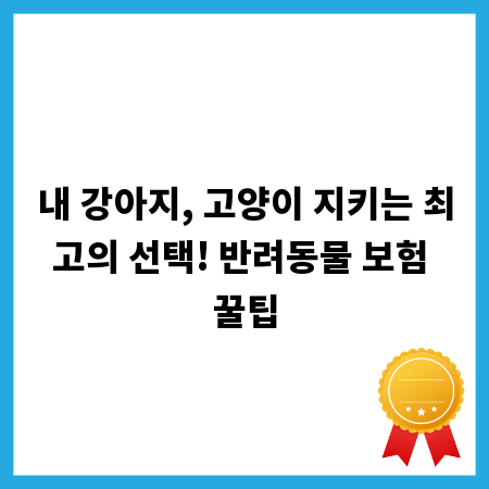 내 강아지, 고양이 지키는 최고의 선택! 반려동물 보험 꿀팁