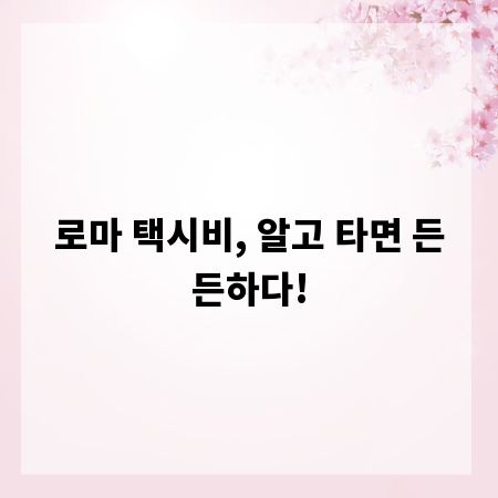 로마 택시비, 알고 타면 든든하다!