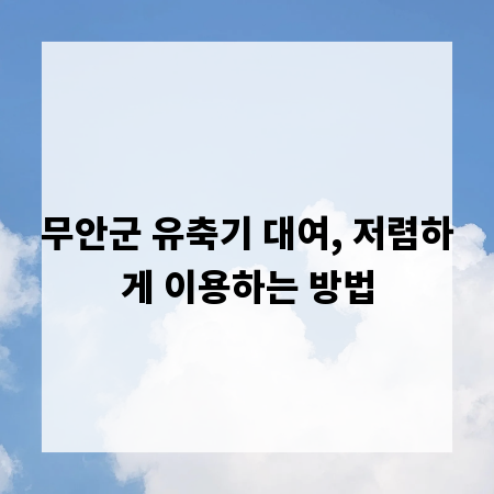 무안군 유축기 대여, 저렴하게 이용하는 방법