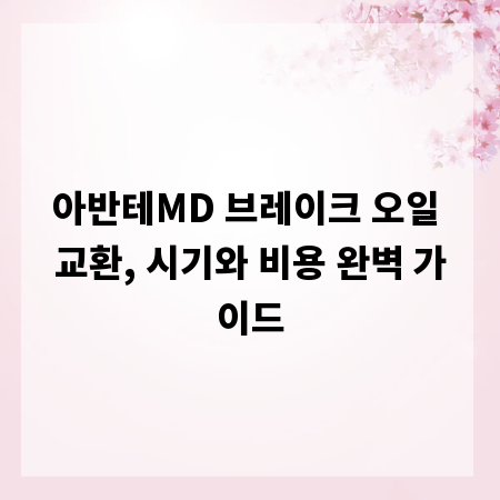 아반테MD 브레이크 오일 교환, 시기와 비용 완벽 가이드