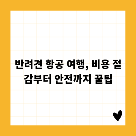 반려견 항공 여행, 비용 절감부터 안전까지 꿀팁