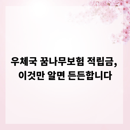 우체국 꿈나무보험 적립금, 이것만 알면 든든합니다