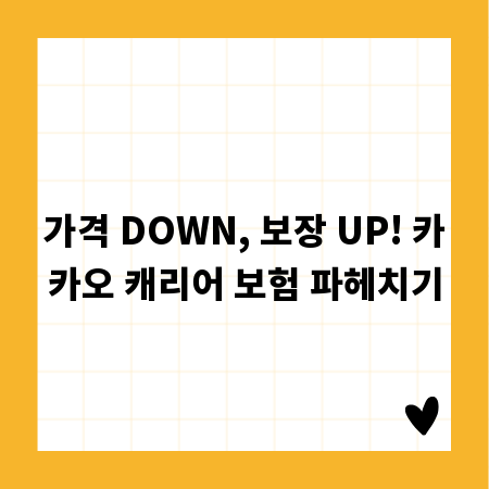 가격 DOWN, 보장 UP! 카카오 캐리어 보험 파헤치기