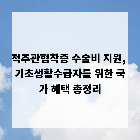 척추관협착증 수술비 지원, 기초생활수급자를 위한 국가 혜택 총정리