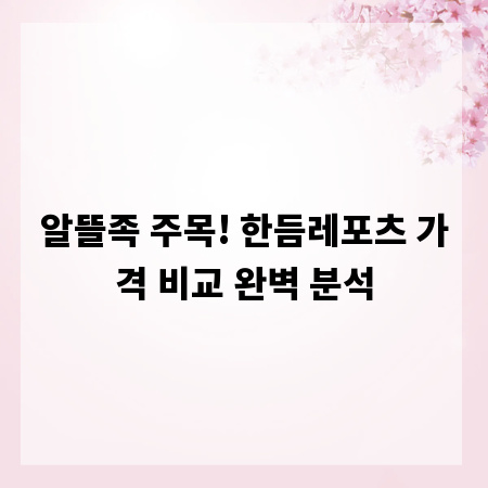 알뜰족 주목! 한듬레포츠 가격 비교 완벽 분석
