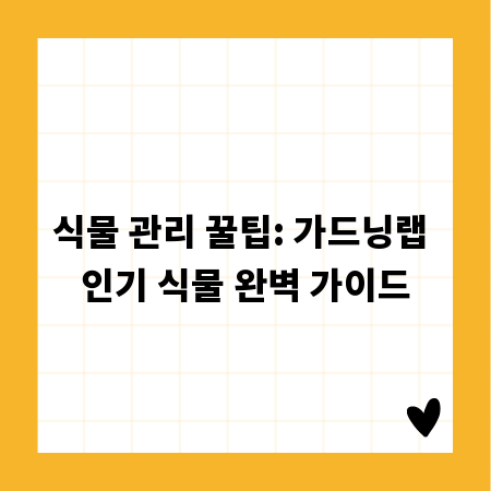 식물 관리 꿀팁: 가드닝랩 인기 식물 완벽 가이드