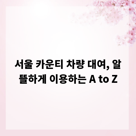 서울 카운티 차량 대여, 알뜰하게 이용하는 A to Z