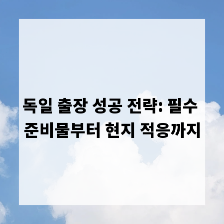 독일 출장 성공 전략: 필수 준비물부터 현지 적응까지
