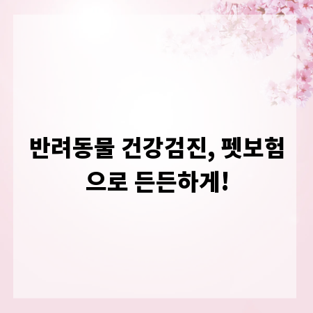 반려동물 건강검진, 펫보험으로 든든하게!