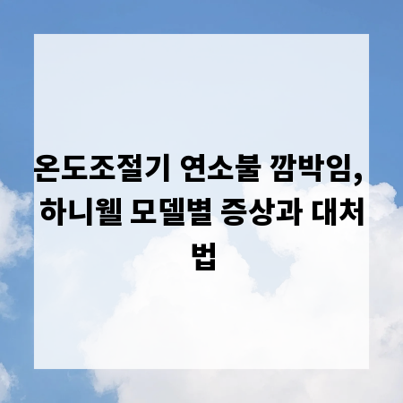 온도조절기 연소불 깜박임, 하니웰 모델별 증상과 대처법