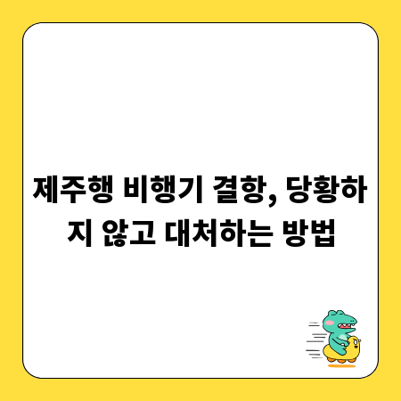 제주행 비행기 결항, 당황하지 않고 대처하는 방법