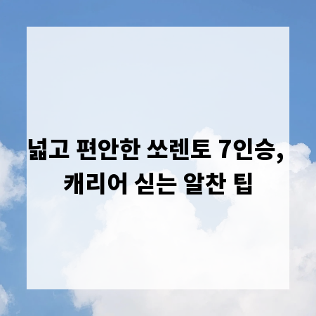 넓고 편안한 쏘렌토 7인승, 캐리어 싣는 알찬 팁