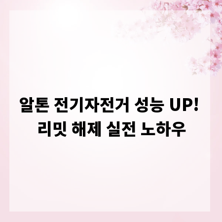 알톤 전기자전거 성능 UP! 리밋 해제 실전 노하우
