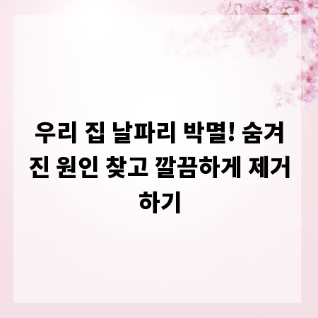 우리 집 날파리 박멸! 숨겨진 원인 찾고 깔끔하게 제거하기